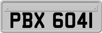 PBX6041