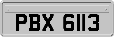 PBX6113