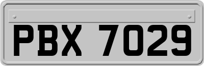 PBX7029