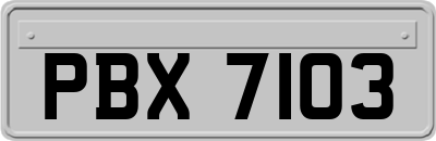 PBX7103