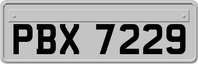 PBX7229