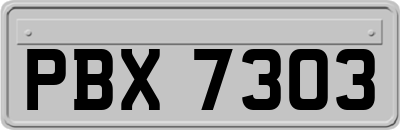 PBX7303