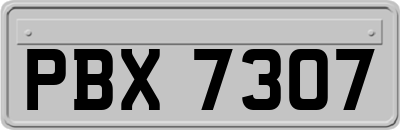 PBX7307