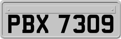 PBX7309