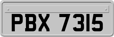 PBX7315