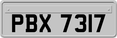 PBX7317