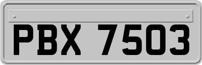 PBX7503