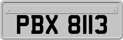 PBX8113