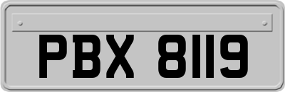 PBX8119