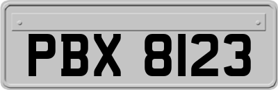 PBX8123