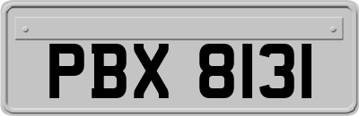 PBX8131