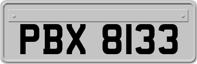 PBX8133