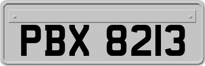 PBX8213