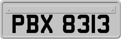 PBX8313