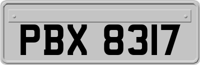 PBX8317