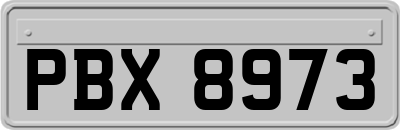 PBX8973