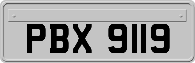 PBX9119