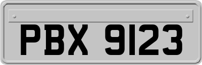 PBX9123