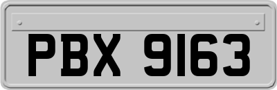 PBX9163