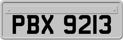 PBX9213