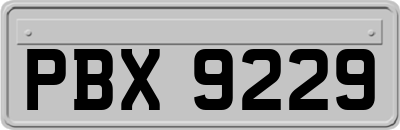 PBX9229