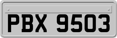 PBX9503