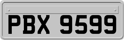 PBX9599