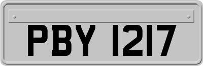 PBY1217