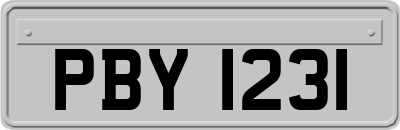 PBY1231