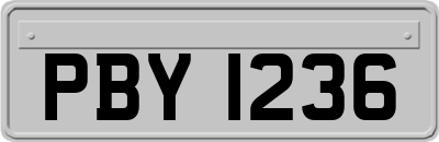 PBY1236