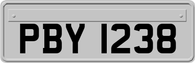 PBY1238