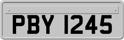 PBY1245