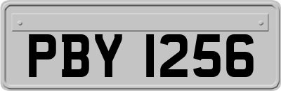 PBY1256