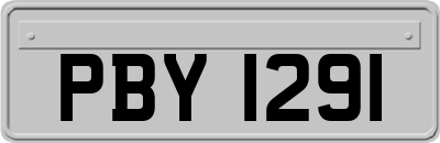 PBY1291