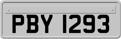 PBY1293