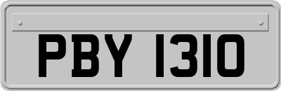 PBY1310