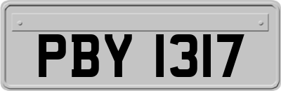 PBY1317