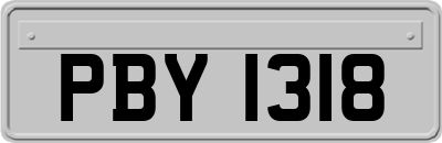 PBY1318