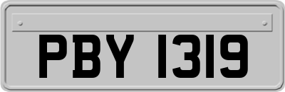 PBY1319