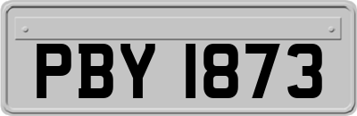 PBY1873