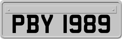 PBY1989