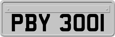 PBY3001