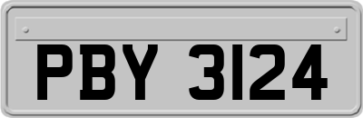 PBY3124