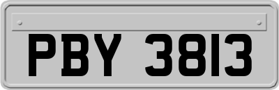 PBY3813