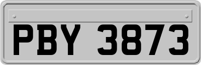 PBY3873