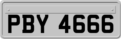 PBY4666