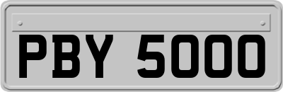 PBY5000