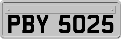 PBY5025