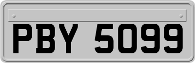 PBY5099