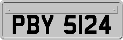 PBY5124